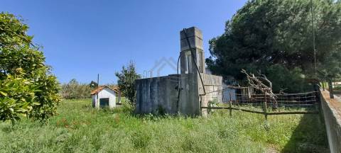 Quinta - Alcochete