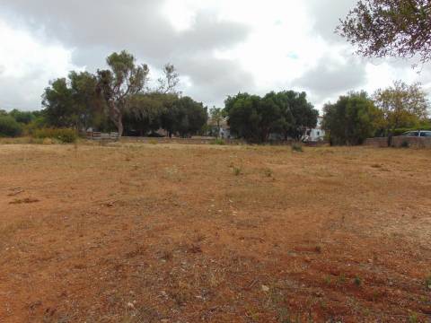 Terreno para construção em Almancil