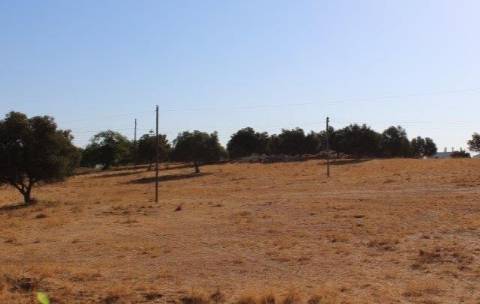 Terreno para construção de 10 moradias nas Ferreiras