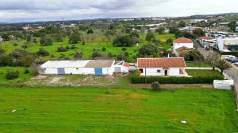 Moradia T3 Isolada com Armazém e amplo terreno
