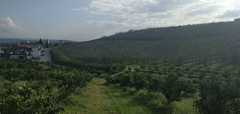 Quinta/ Exploração agrícola em Vila Flor