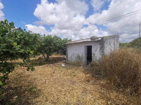 Terreno com Quintinha em Faro, Sítio do Besouro