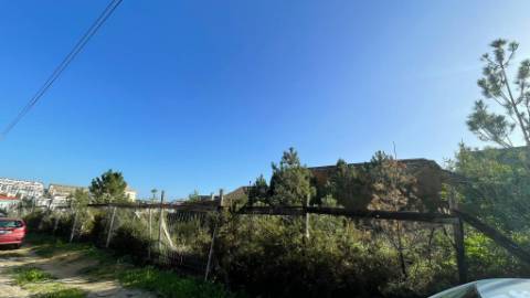 Conjunto de 4 Lotes de Terreno em Sobreda