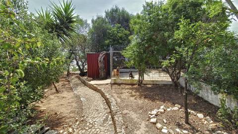 Moradia Isolada T6 em Cerro d'Águia - Albufeira