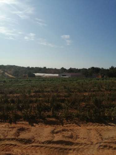 Quinta com produção agrícola ativa e projeto de turismo rural