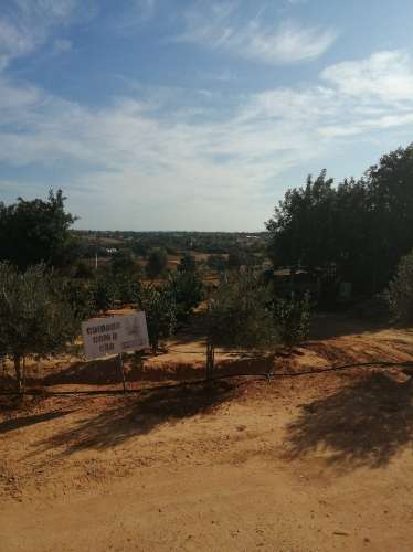 Quinta com produção agrícola ativa e projeto de turismo rural