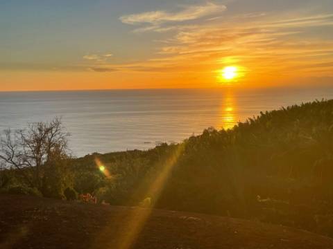 Moradia Isolada T3 com Terreno no Arco da Calheta
