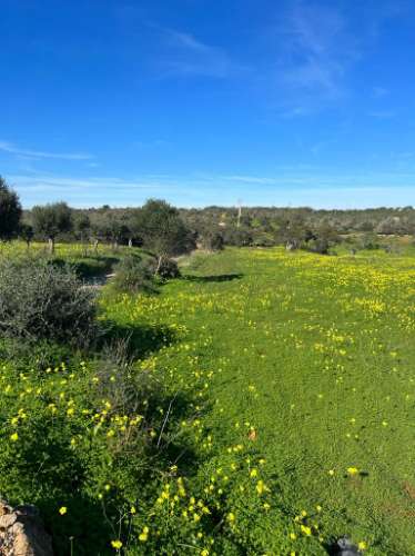 Magnífica propriedade para investimento em Albufeira