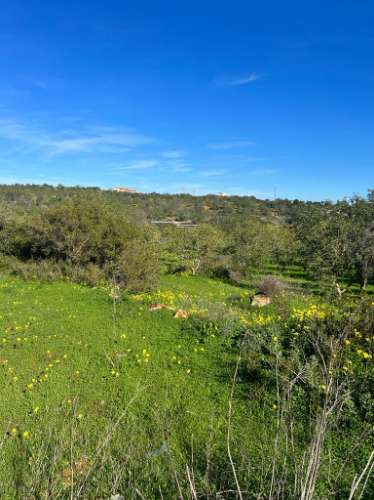 Magnífica propriedade para investimento em Albufeira