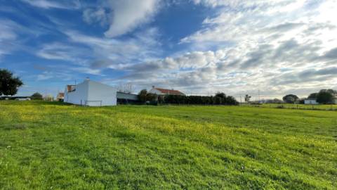 Terreno em Vale da Vila - Setúbal