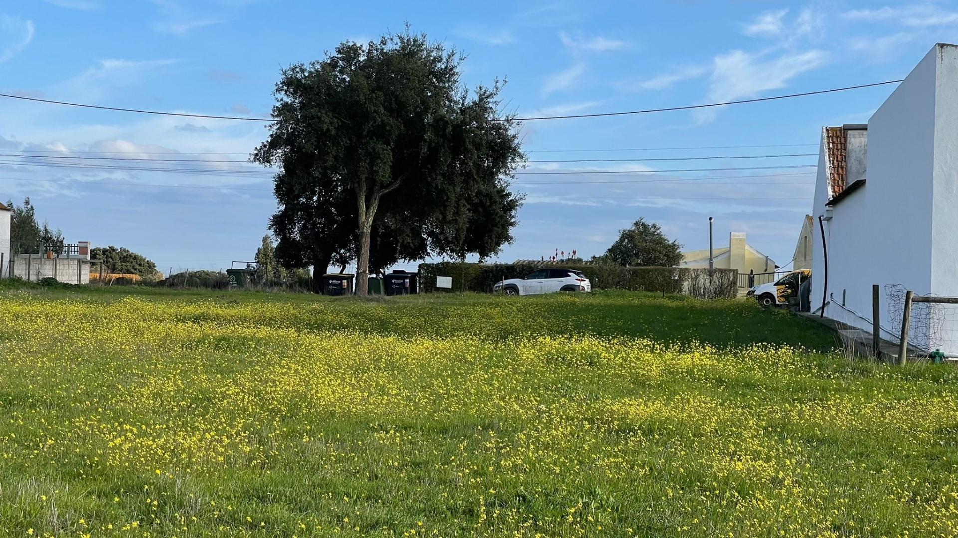 Terreno em Vale da Vila - Setúbal