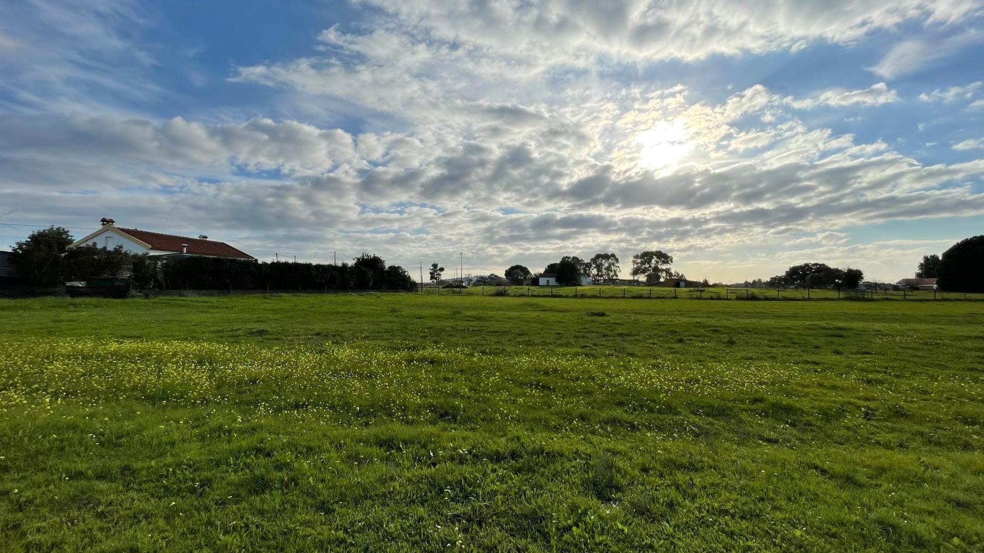 Terreno em Vale da Vila - Setúbal