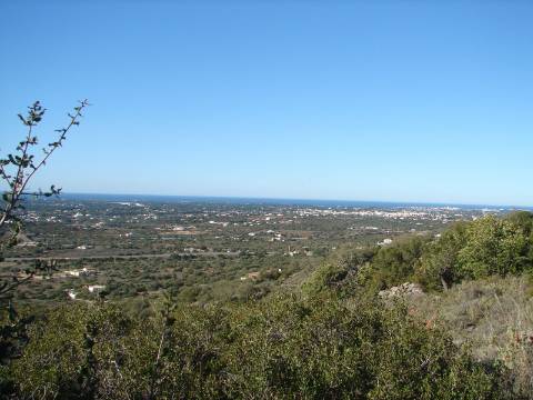 Moradia T6 em Santa Barbara de Nexe, Faro