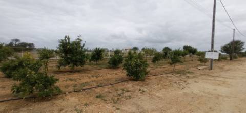 Hotel Rural em Albufeira no Algarve
