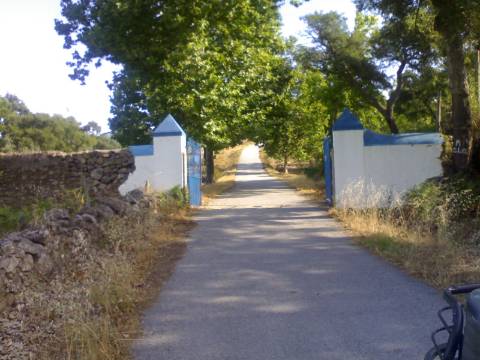 Herdade no Alentejo na zona de Portalegre