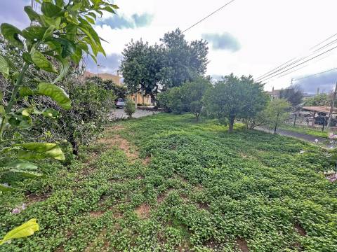 Vila T4 em Silves
