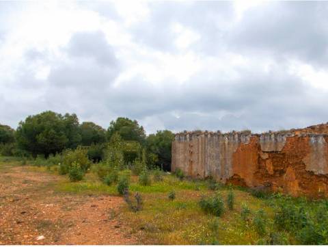 Herdade perto da serra de Serpa. 
Esta herdade de 60 hectares é abundante em sobreiros e pinheiros, bem como excelentes terrenos para a plantação de medronho.