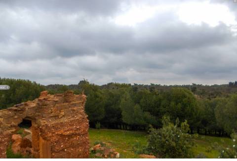 Herdade perto da serra de Serpa. 
Esta herdade de 60 hectares é abundante em sobreiros e pinheiros, bem como excelentes terrenos para a plantação de medronho.