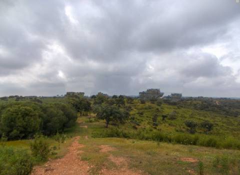 Herdade perto da serra de Serpa. 
Esta herdade de 60 hectares é abundante em sobreiros e pinheiros, bem como excelentes terrenos para a plantação de medronho.