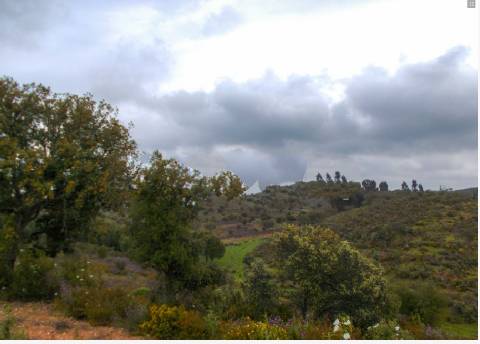 Herdade perto da serra de Serpa. 
Esta herdade de 60 hectares é abundante em sobreiros e pinheiros, bem como excelentes terrenos para a plantação de medronho.