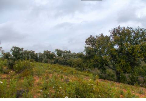 Herdade perto da serra de Serpa. 
Esta herdade de 60 hectares é abundante em sobreiros e pinheiros, bem como excelentes terrenos para a plantação de medronho.