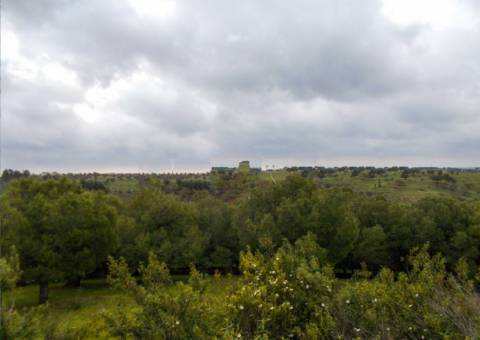 Herdade perto da serra de Serpa. 
Esta herdade de 60 hectares é abundante em sobreiros e pinheiros, bem como excelentes terrenos para a plantação de medronho.