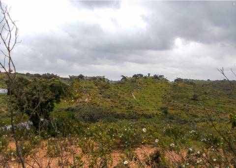Herdade perto da serra de Serpa. 
Esta herdade de 60 hectares é abundante em sobreiros e pinheiros, bem como excelentes terrenos para a plantação de medronho.