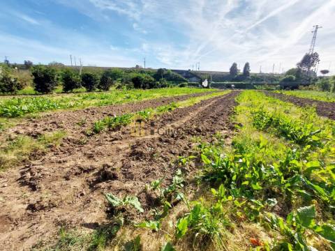 Terreno Rústico com 2900 m2 em Ermesinde
