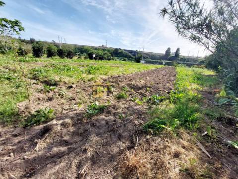 Terreno Rústico com 2900 m2 em Ermesinde