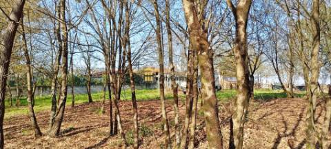 Terreno Para Construção de Moradias em Lodares
