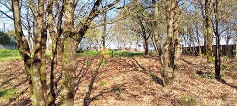 Terreno Para Construção de Moradias em Lodares
