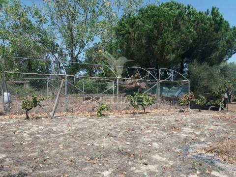Moradia de 2 pisos com terreno e piscina no cartaxo