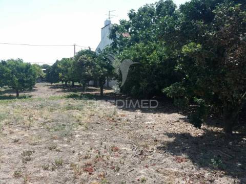 Moradia de 2 pisos com terreno e piscina no cartaxo