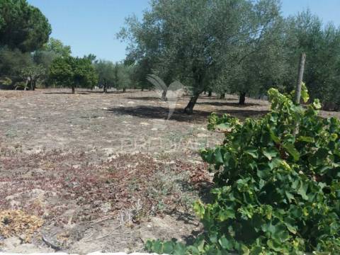 Moradia de 2 pisos com terreno e piscina no cartaxo