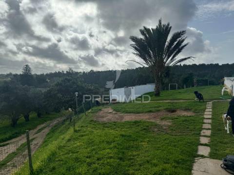 Monte com moradia t4 em vila nova de milfontes