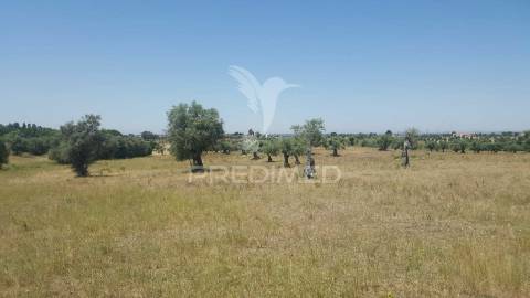 Terreno rustico 44.400m2 com projeto de moradia térrea