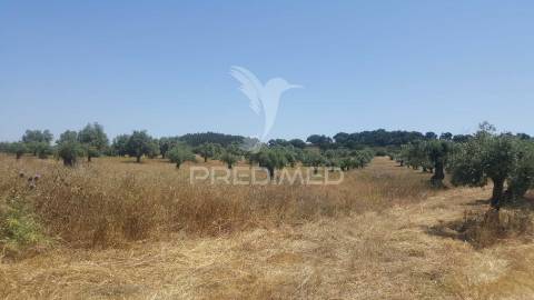 Terreno rustico 44.400m2 com projeto de moradia térrea