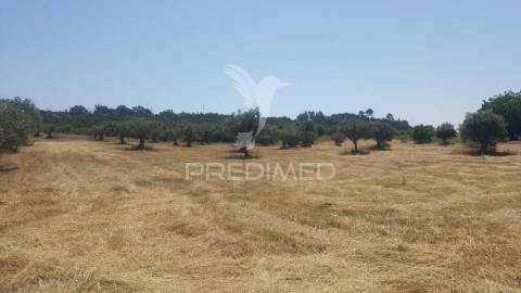 Terreno rustico 44.400m2 com projeto de moradia térrea