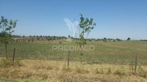 Terreno rustico 44.400m2 com projeto de moradia térrea