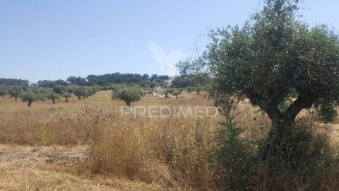 Terreno rustico 44.400m2 com projeto de moradia térrea