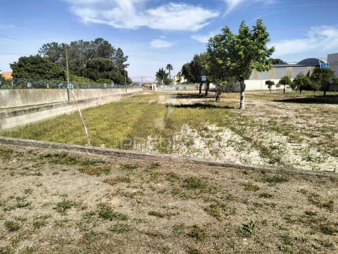 Quinta de 6.000m2 em brejos de azeitão