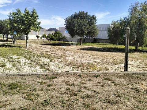 Quinta de 6.000m2 em brejos de azeitão