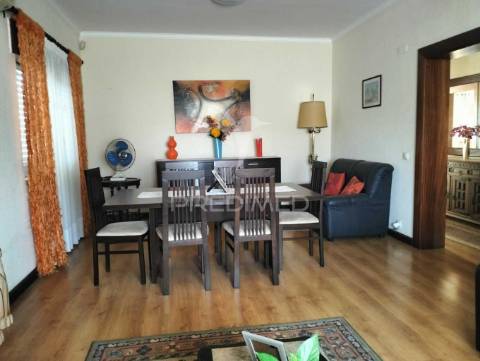 Quinta de 6.000m2 em brejos de azeitão