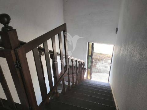 Quinta de 6.000m2 em brejos de azeitão
