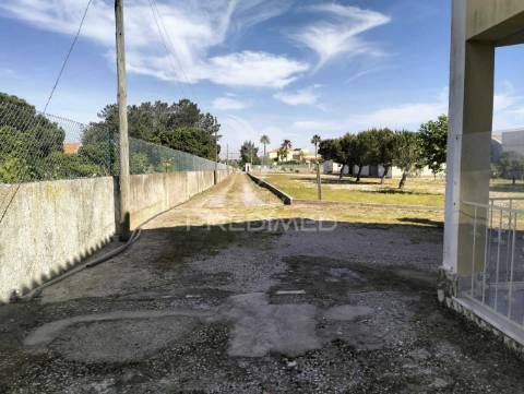 Quinta de 6.000m2 em brejos de azeitão