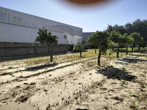 Quinta de 6.000m2 em brejos de azeitão