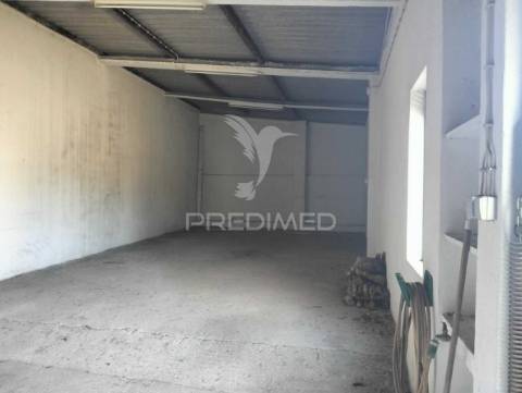 Quinta de 6.000m2 em brejos de azeitão