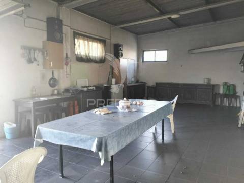 Quinta de 6.000m2 em brejos de azeitão