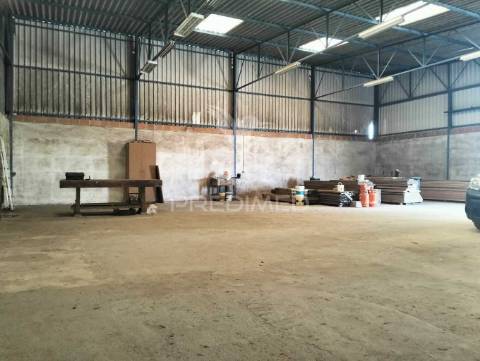 Quinta de 6.000m2 em brejos de azeitão