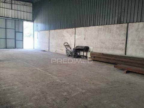 Quinta de 6.000m2 em brejos de azeitão